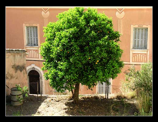 Belgodère en Balagne