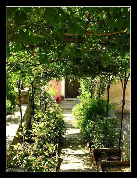 Belgodère en Balagne