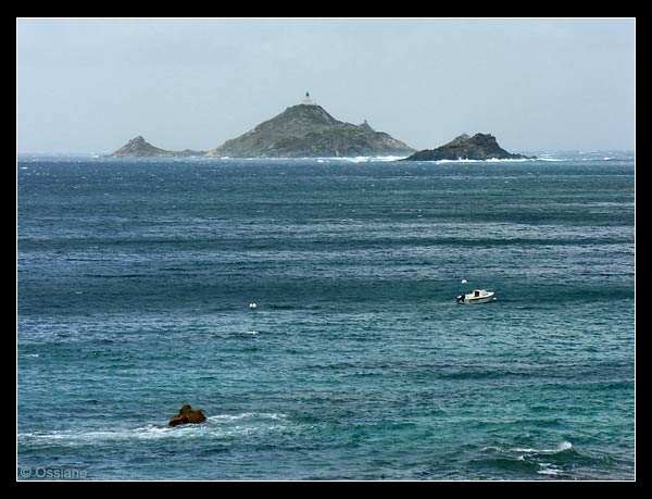 Les îles Sanguinaires