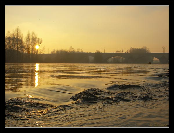 La Loire à Orléans