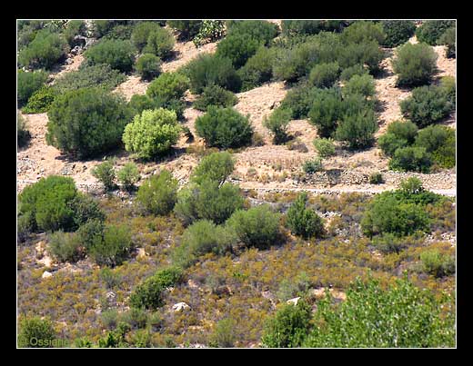 La Balagne