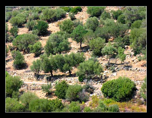 La Balagne