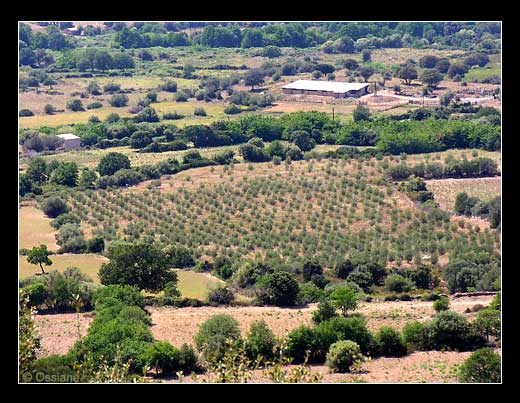 La Balagne