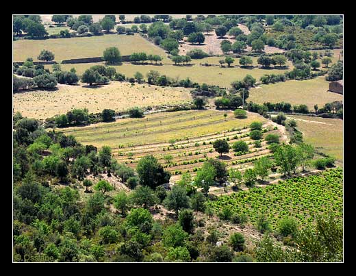 La Balagne