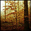 Toile d'automne 03 / Autumn sceneries 03